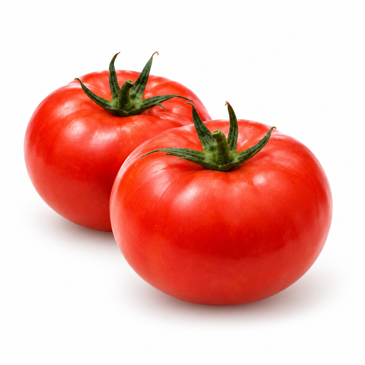 Illustration de tomates sur fond blanc